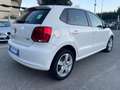 Volkswagen Polo 1.2 TDI 5 PORTE COMFORTLINE + TETTO 1 PROP. Weiß - thumbnail 4