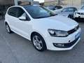 Volkswagen Polo 1.2 TDI 5 PORTE COMFORTLINE + TETTO 1 PROP. Weiß - thumbnail 3