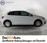 Volkswagen Polo Austria Bianco - thumbnail 6