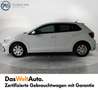 Volkswagen Polo Austria Bianco - thumbnail 2