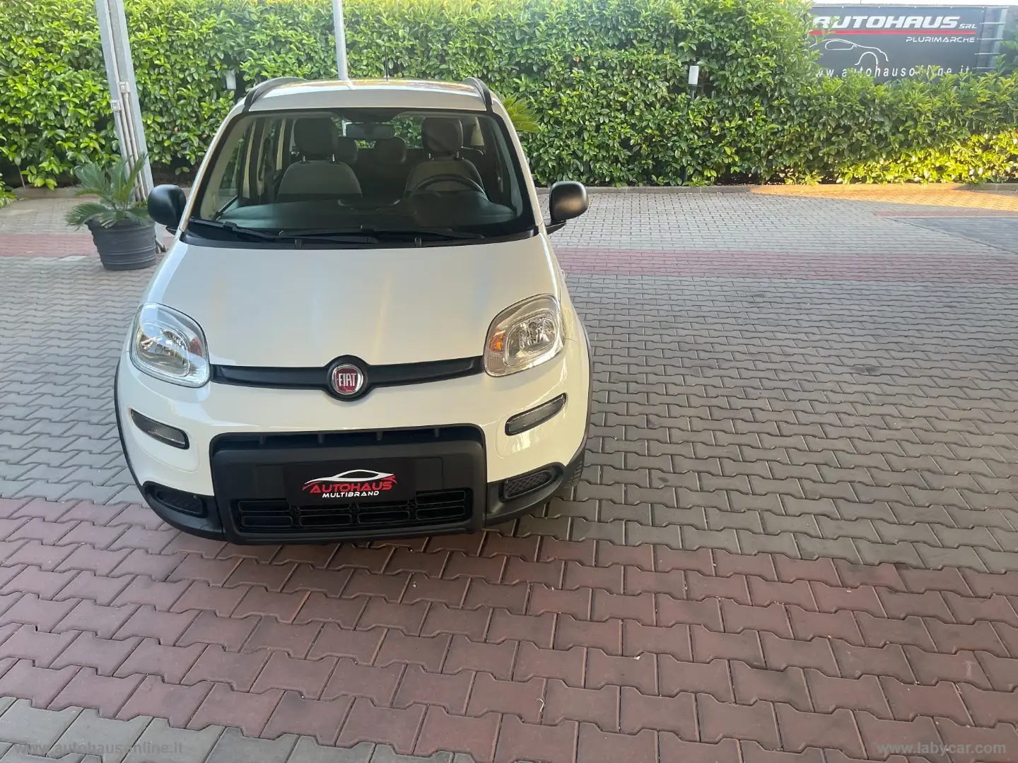 Fiat Panda 1.0 FireFly S&S Hybrid City Life Wit - 1