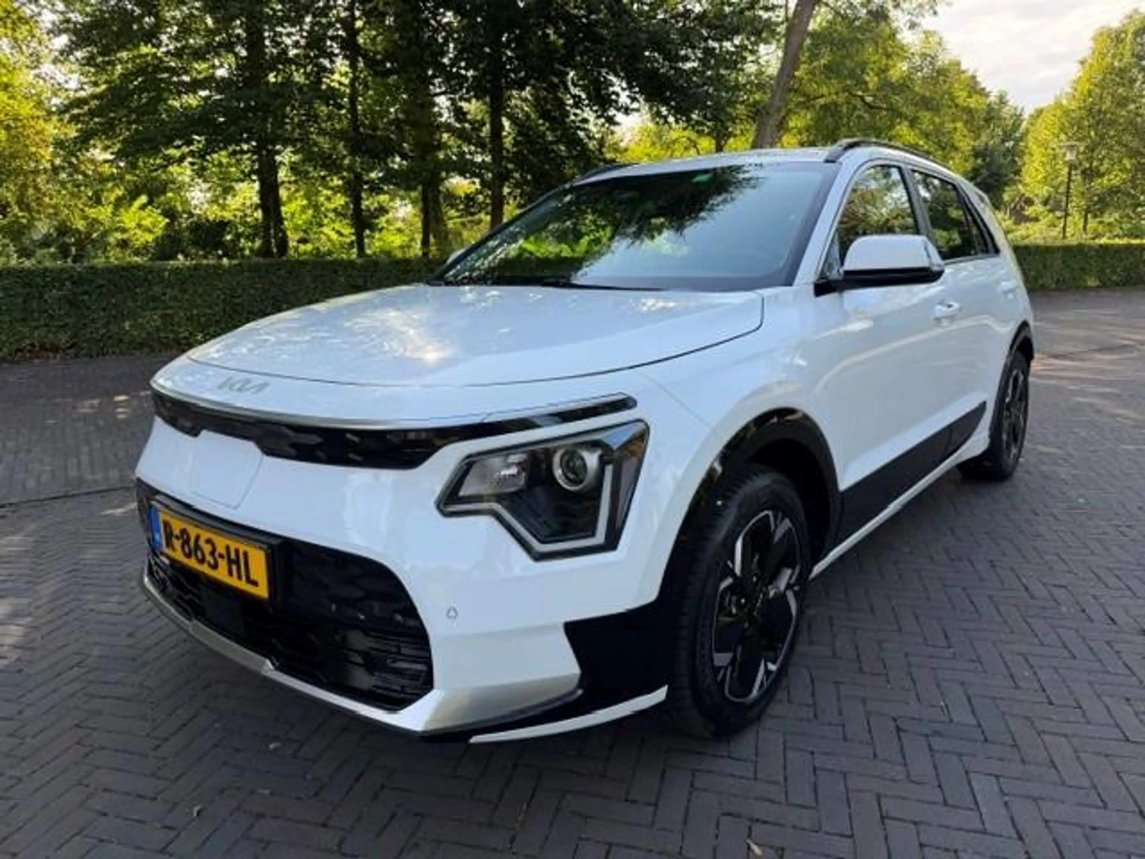 Kia e-Niro Ev DynamicLine 64.8kWh SOH 98,4%/Camera/Acarplay/N
