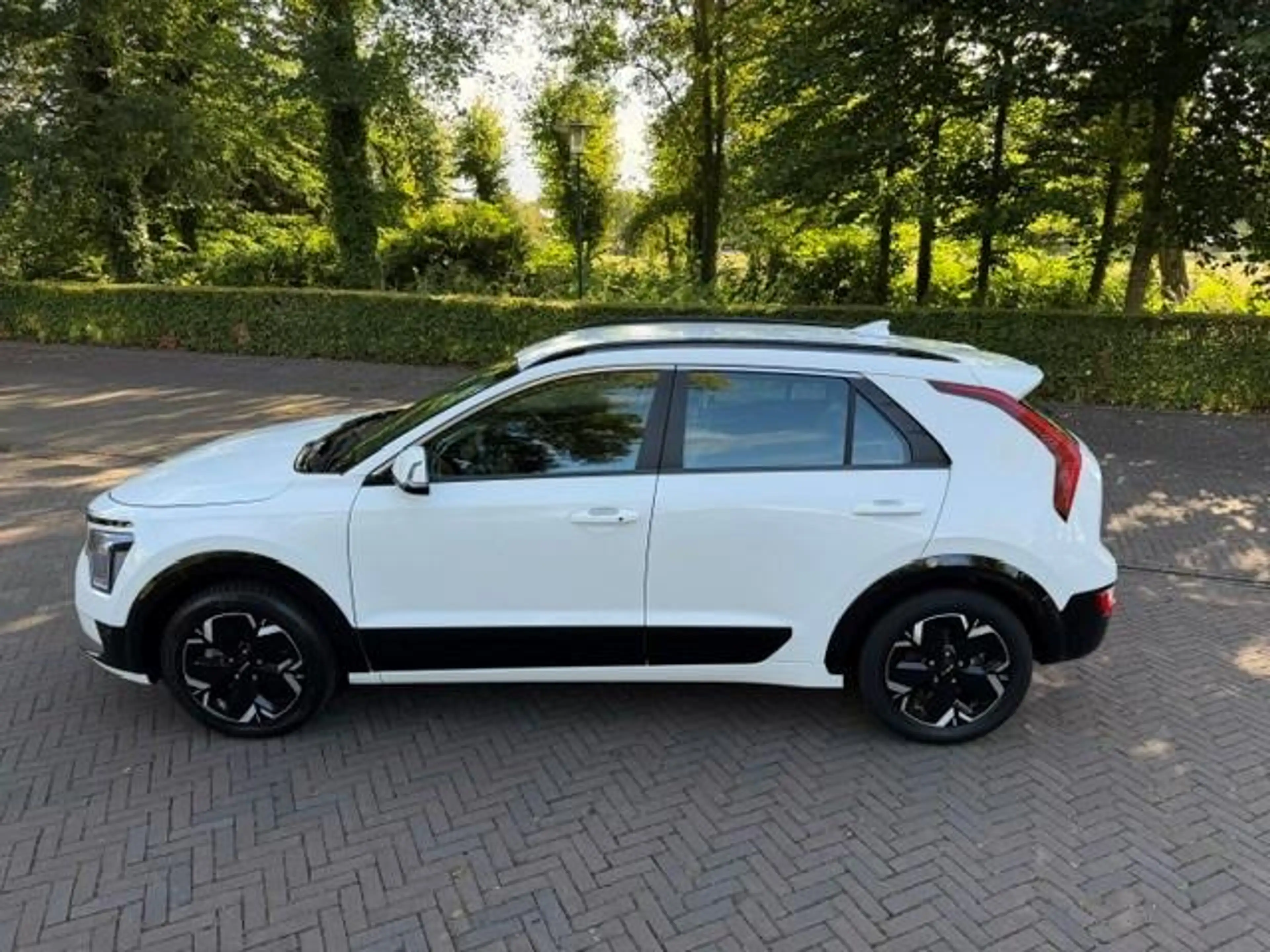 Kia e-Niro Ev DynamicLine 64.8kWh SOH 98,4%/Camera/Acarplay/N — photo 3