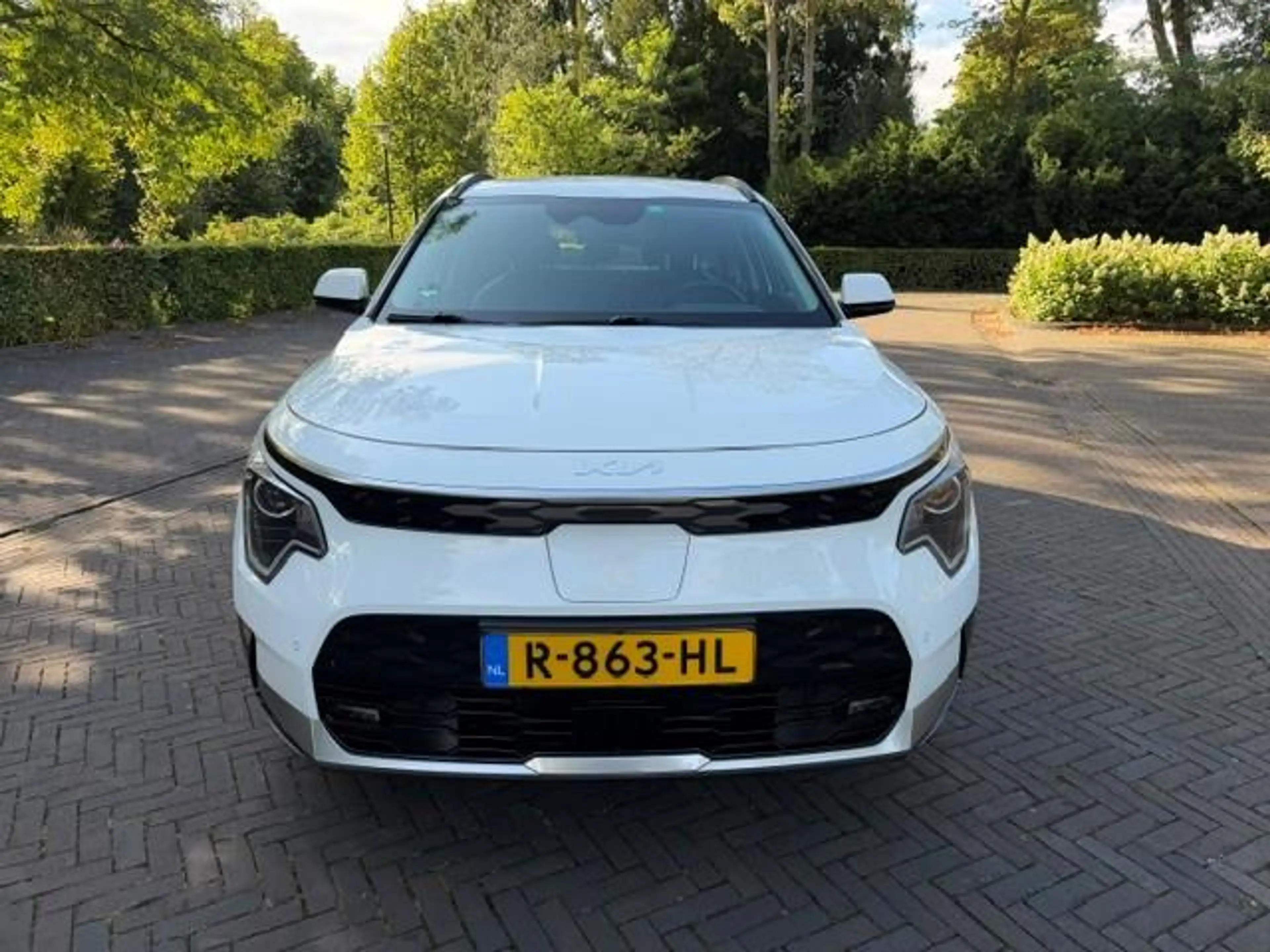 Kia e-Niro Ev DynamicLine 64.8kWh SOH 98,4%/Camera/Acarplay/N — photo 2