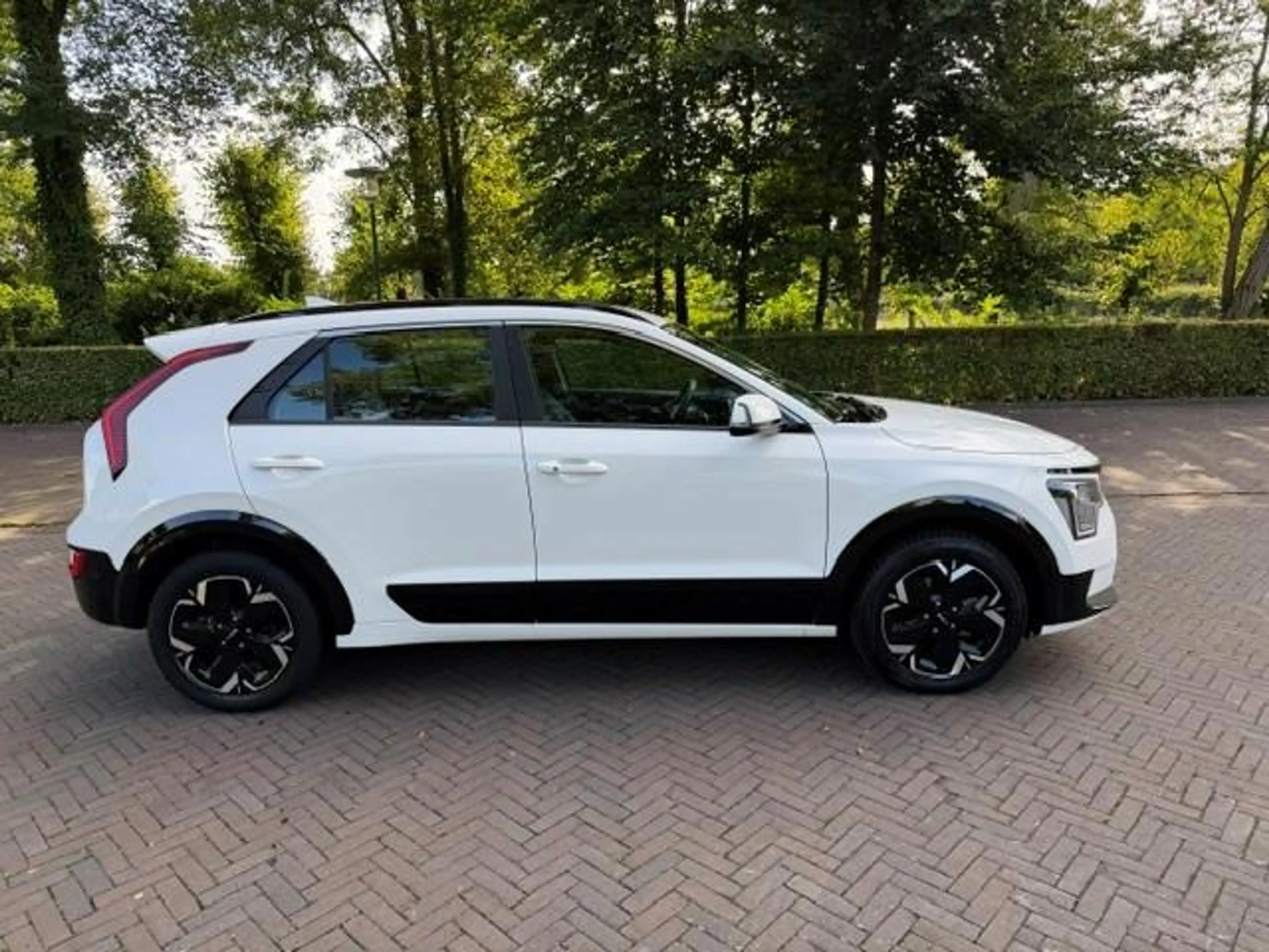 Kia e-Niro Ev DynamicLine 64.8kWh SOH 98,4%/Camera/Acarplay/N — photo 24