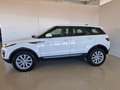 Land Rover Range Rover Evoque 2.0 TD4 150 CV 5p. SE Bianco - thumbnail 11