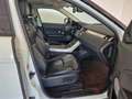 Land Rover Range Rover Evoque 2.0 TD4 150 CV 5p. SE Bianco - thumbnail 3