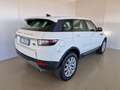 Land Rover Range Rover Evoque 2.0 TD4 150 CV 5p. SE Bianco - thumbnail 2