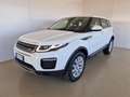 Land Rover Range Rover Evoque 2.0 TD4 150 CV 5p. SE Bianco - thumbnail 1