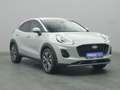 Ford Puma Titanium 155PS Aut./Winter-P./Navi -20%* Gris - thumbnail 24