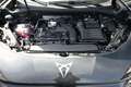 CUPRA Terramar Tribe Edition DSG HeadUp 360° Sennh el.Hk ParkA... Schwarz - thumbnail 12