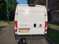 Fiat Ducato Ducato L2 Weiß - thumbnail 12