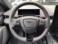 Ford Mustang (Extended Range) Premium Navi Grau - thumbnail 7
