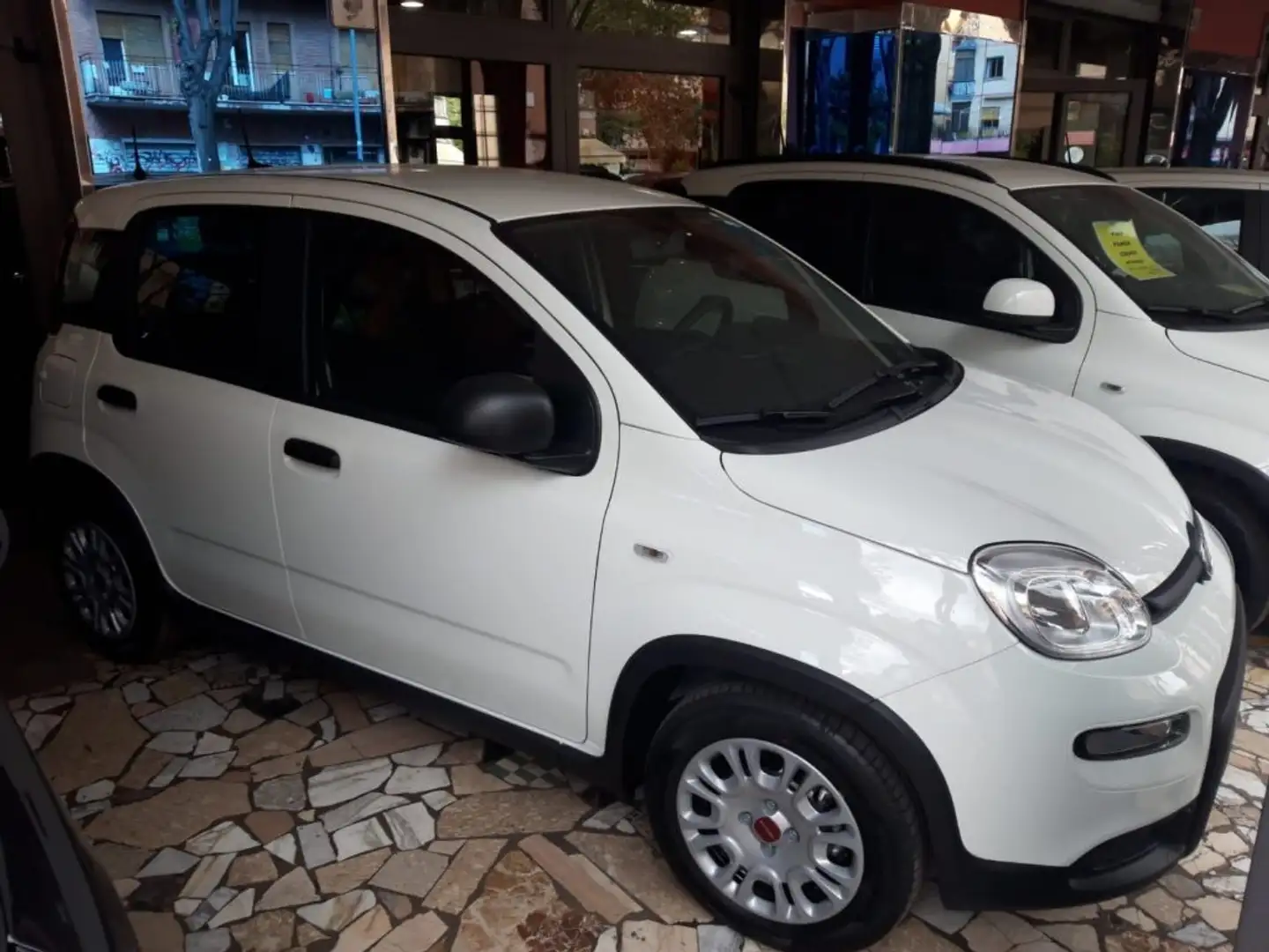Fiat Panda 1.2 GPL PREZZO REALE Bianco - 1