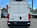 Iveco Daily 35S16V 2.3HPT H2 COIBENTATO CON FRIGO -20° Weiß - thumbnail 6