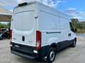 Iveco Daily 35S16V 2.3HPT H2 COIBENTATO CON FRIGO -20° Weiß - thumbnail 7