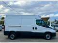 Iveco Daily 35S16V 2.3HPT H2 COIBENTATO CON FRIGO -20° Weiß - thumbnail 8