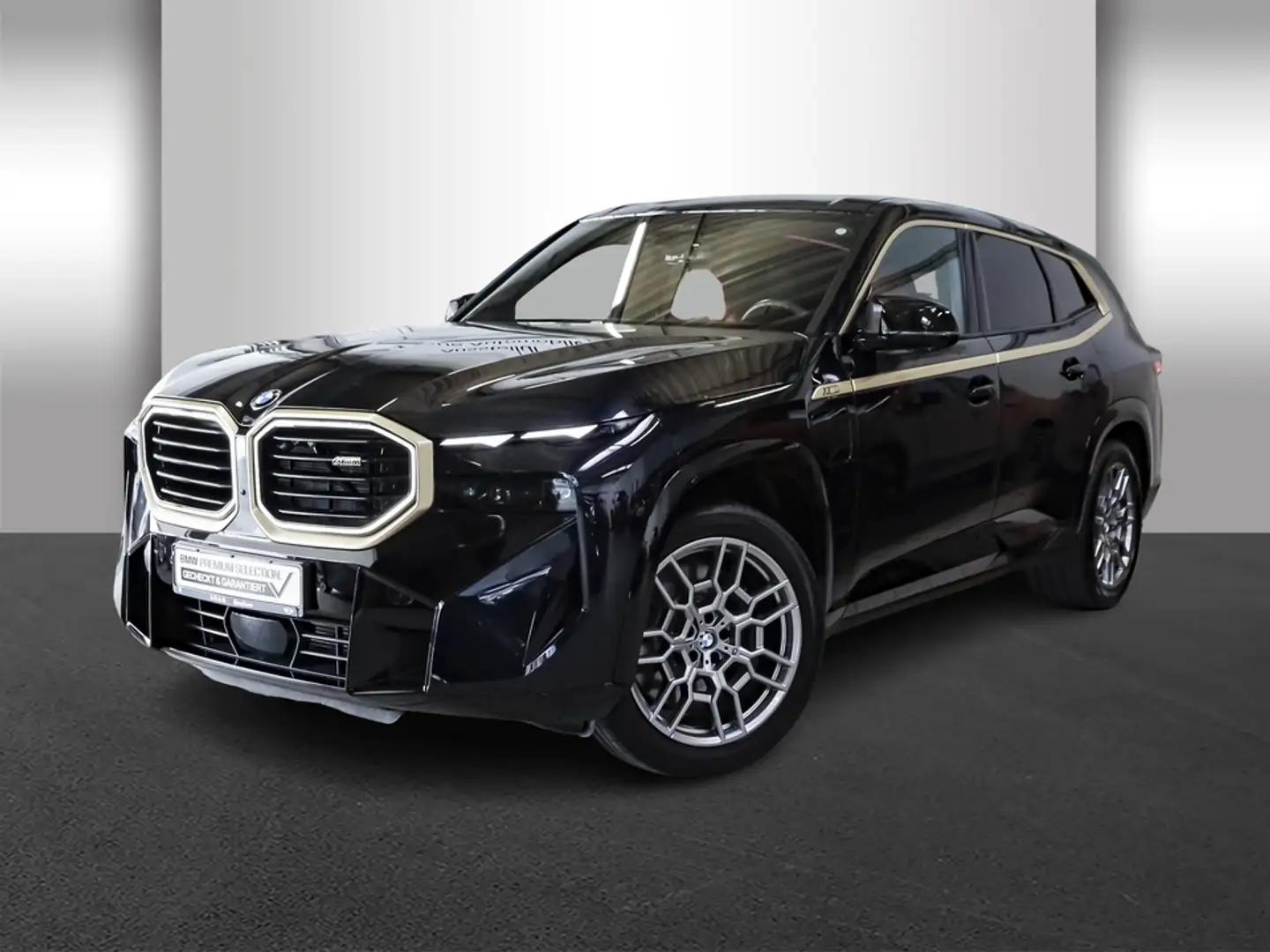 BMW XM 4.4 Sport Aut. AHK Komfortzugang Soft-Close Negro - 2