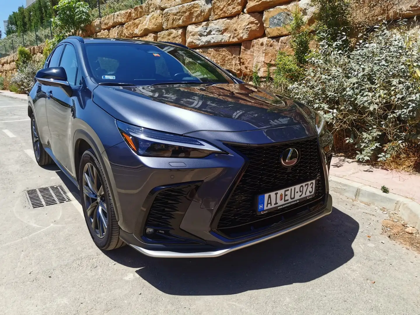 Lexus NX 350h F-Sport - 1