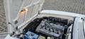 Alfa Romeo Quadrifoglio GT 1750 2 serie Wit - thumbnail 8