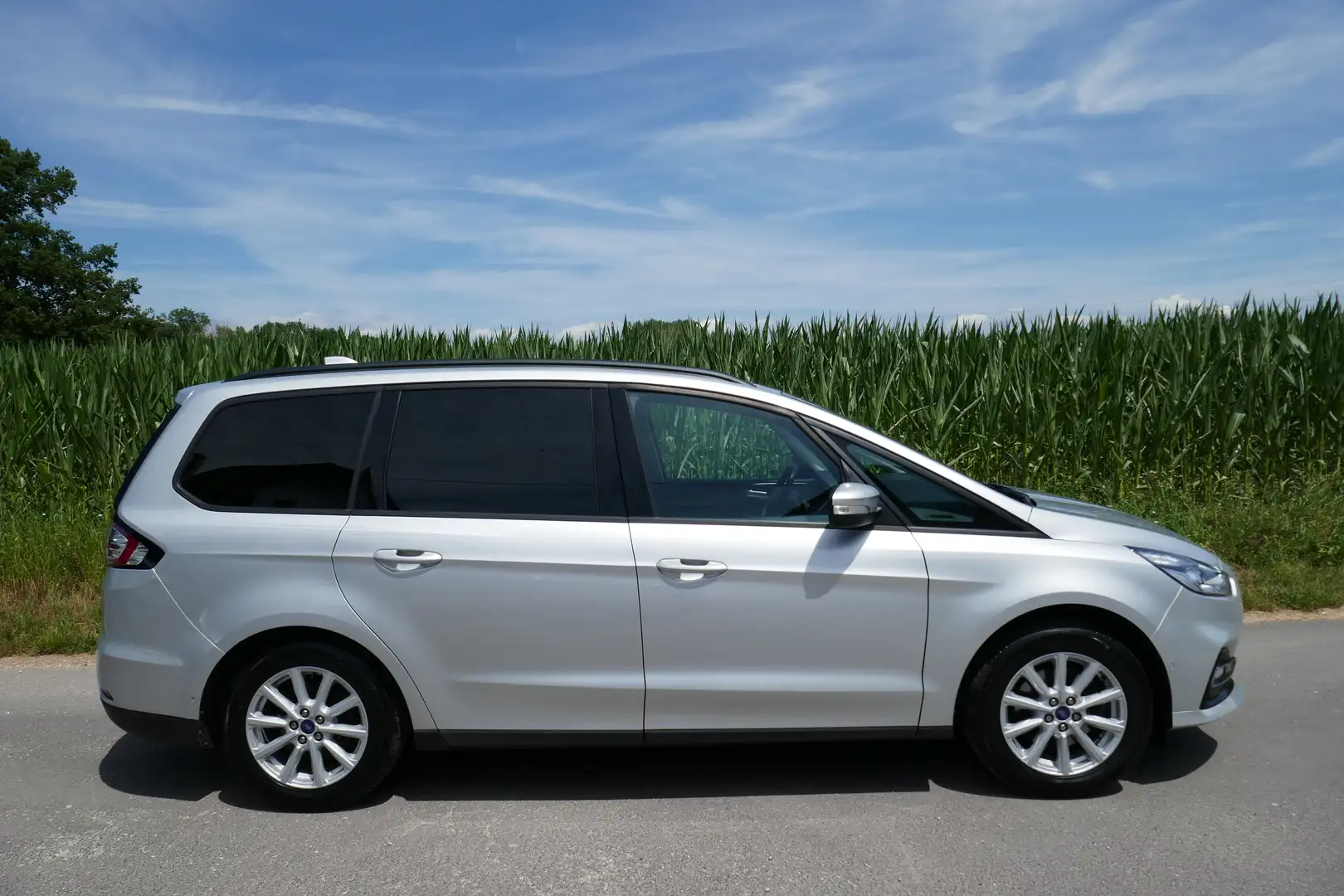 Ford Galaxy Business Hybrid Zilver - 2