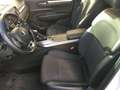 Renault Koleos Blue dCi 150 CV X-Tronic Business cambio automati Blanc - thumbnail 15