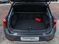 Volkswagen T-Roc 1.5 TSI DSG LIFE IQ.LIGHT SiHZG NAVI"18 Grau - thumbnail 13
