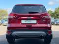 Ford Kuga Titanium*RFK*FSH*SHZ*Navi*AHK*Tempomat Rosso - thumbnail 5