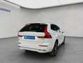 Volvo XC60 XC60 B4 AWD Inscription Aut Glasd Leder Voll-LED Weiß - thumbnail 6