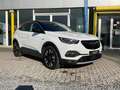 Opel Grandland X Innovation 1.2 Benzine 130 pk AUTOMAAT bijela - thumbnail 13