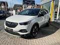 Opel Grandland X Innovation 1.2 Benzine 130 pk AUTOMAAT Wit - thumbnail 1