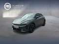 CUPRA Raval VZ 52/55 166 kW/225 PS Grün - thumbnail 1