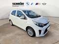 Kia Picanto 1.2 Dream-Team Edition + GARANTIE Blanc - thumbnail 8