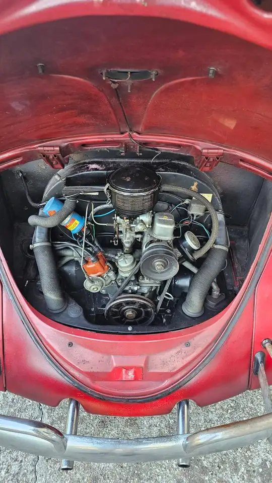 Volkswagen Maggiolino, foto 6