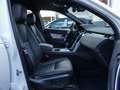 Land Rover Discovery Sport P200 R-Dynamic SE Winterpaket - 20" - AHK Wit - thumbnail 3