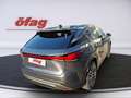 Lexus RX 350 h Executive Line Pano Dach / Techpaket Grau - thumbnail 5