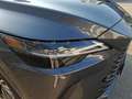Lexus RX 350 h Executive Line Pano Dach / Techpaket Grau - thumbnail 9