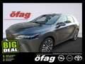 Lexus RX 350 h Executive Line Pano Dach / Techpaket Grau - thumbnail 1