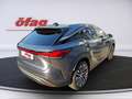 Lexus RX 350 h Executive Line Pano Dach / Techpaket Grau - thumbnail 6