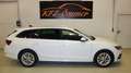 Skoda Octavia Combi 2,0 TDI Style DSG,Head-up Display,Navi,LE... Weiß - thumbnail 9