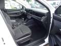 Hyundai TUCSON Tucson NX4 Smart Line 1,6 T-GDi 2WD t5bs1-P3 Blanc - thumbnail 28
