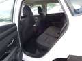 Hyundai TUCSON Tucson NX4 Smart Line 1,6 T-GDi 2WD t5bs1-P3 Weiß - thumbnail 25