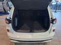 Ford Kuga 2.5 Duratec PHEV ST-Line PANO ACC AHK NAV Weiß - thumbnail 26