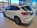 Ford Kuga 2.5 Duratec PHEV ST-Line PANO ACC AHK NAV Weiß - thumbnail 9