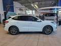Ford Kuga 2.5 Duratec PHEV ST-Line PANO ACC AHK NAV Weiß - thumbnail 6
