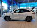 Ford Kuga 2.5 Duratec PHEV ST-Line PANO ACC AHK NAV Weiß - thumbnail 10