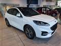 Ford Kuga 2.5 Duratec PHEV ST-Line PANO ACC AHK NAV Weiß - thumbnail 5