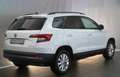Skoda Karoq Ambition Sport Moon white! Weiß - thumbnail 9