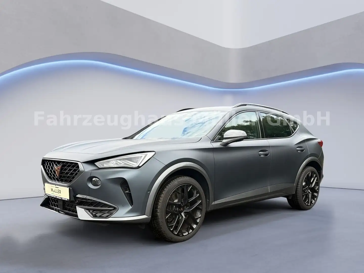 CUPRA Formentor VZ 4Drive 310 PS Grau - 1