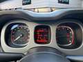 Fiat Panda 1.0 Gse Cross Hybrid Rojo - thumbnail 15